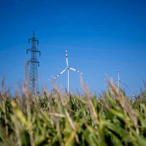 Wind turbines in Japons in Lower Austria &copy; EVN (Imre Antal)